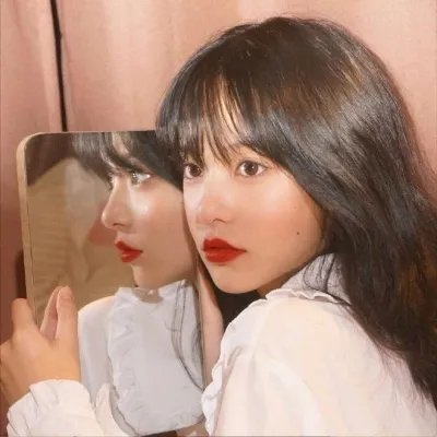 生命之环