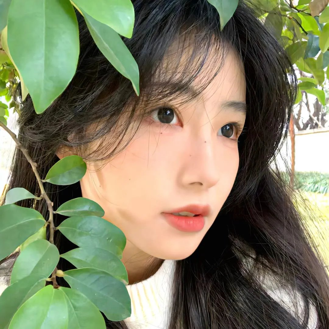 广州人家